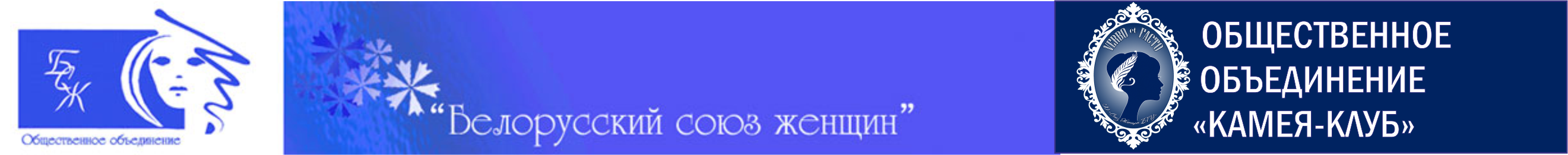 Первичная организация БГУ БСЖ  Логотип